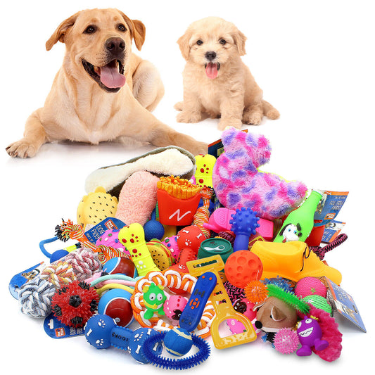 Assorted Dog Toys - Pack of 12